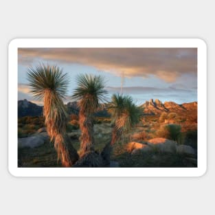 Yucca And Organ Mountains Near Las Cruces Sticker